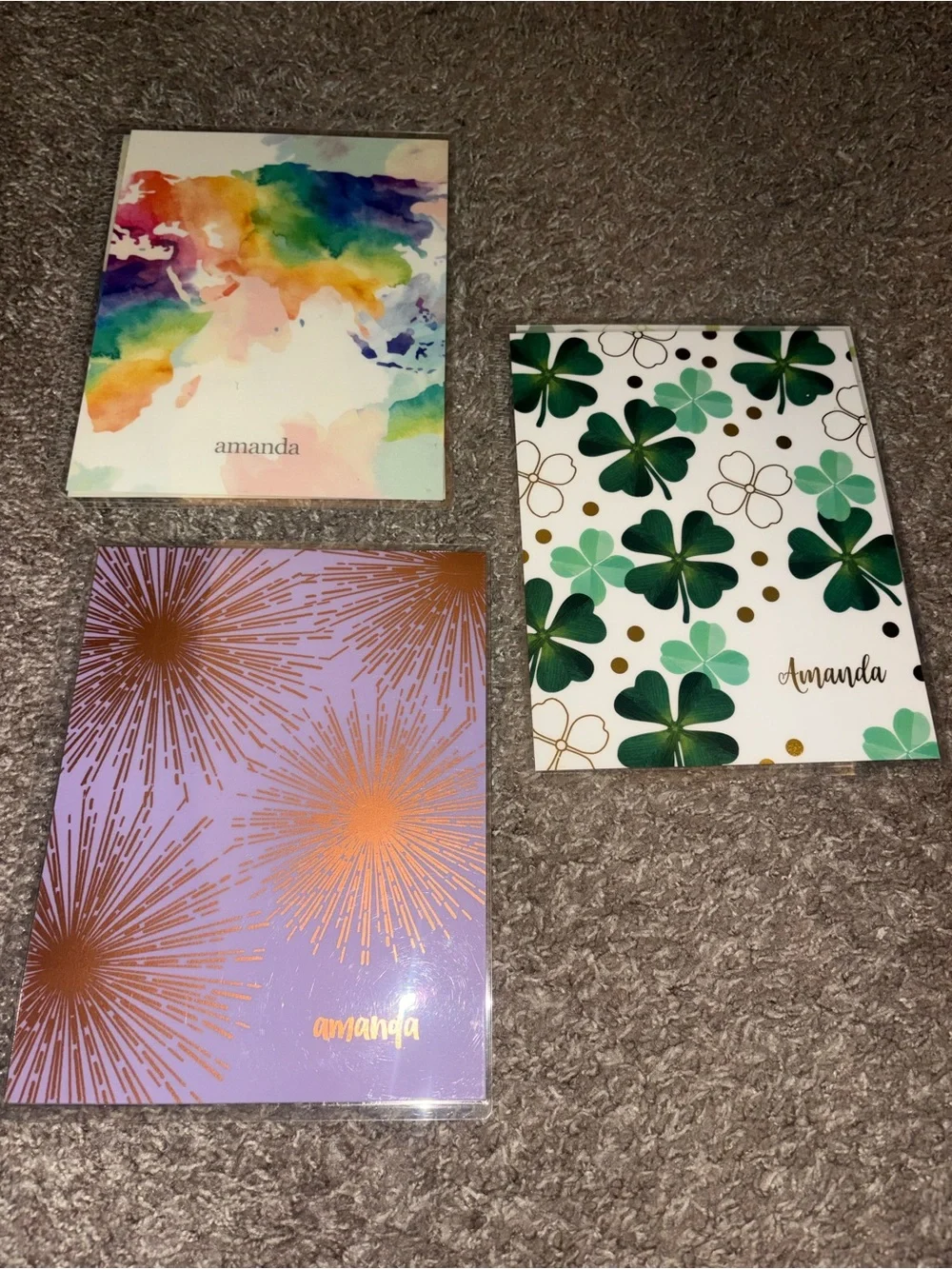Erin Condren Amanda Planner Covers